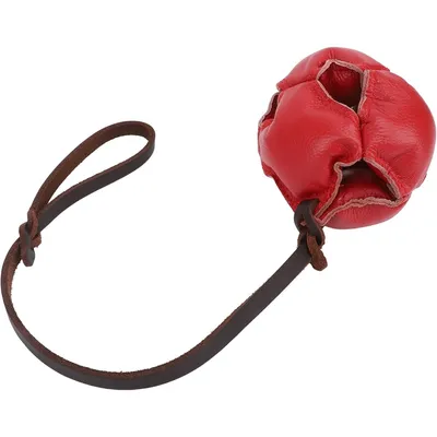 Zoomtopia Jouet pour chien énergétique