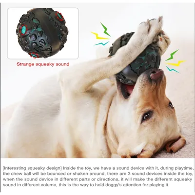 Zoomtopia Jouet éducatif "Météorite"