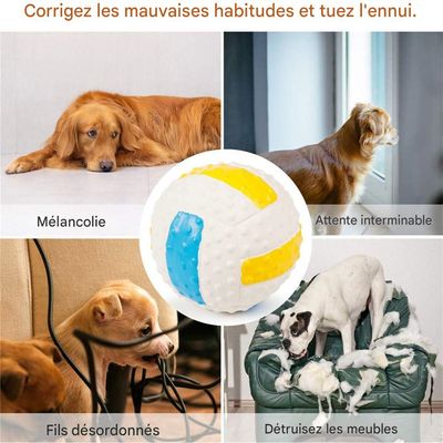 Rocky Jouet pour chien