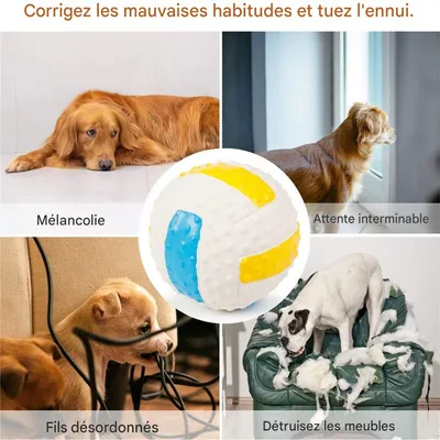 Rocky Jouet pour chien