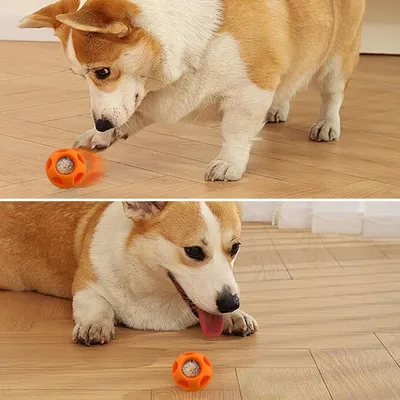 Zoomtopia Jouet pour chien anti - bave