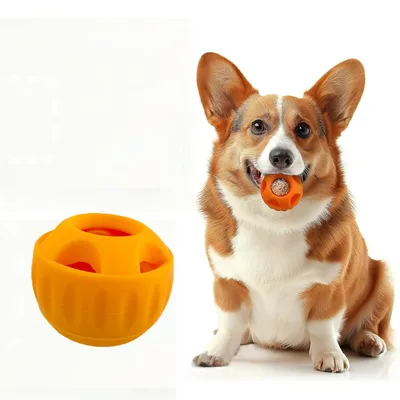 Zoomtopia Jouet pour chien anti - bave