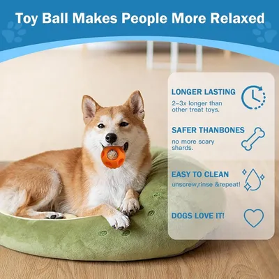 Zoomtopia Jouet pour chien anti - bave