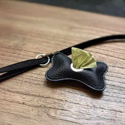 Zoomtopia Distributeur portable de sacs à déjections canines