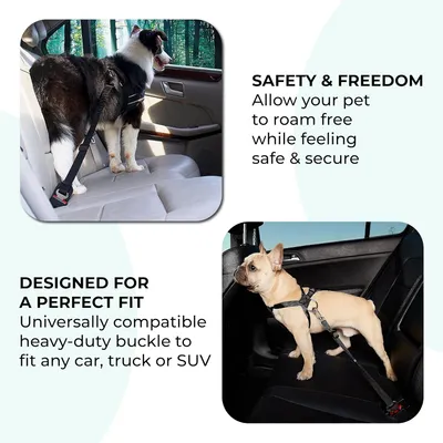 Zoomtopia Harnachement de sécurité pour chien