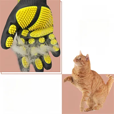 Rocky Gants pour toilettage et brossage de chats et chiens
