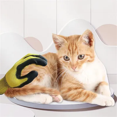 Rocky Gants pour toilettage et brossage de chats et chiens