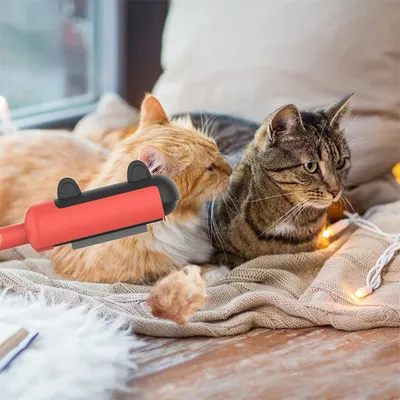 Rocky Dépilateur pour animaux de compagnie