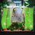 ZooVenture Herbes d'aquarium pour poissons
