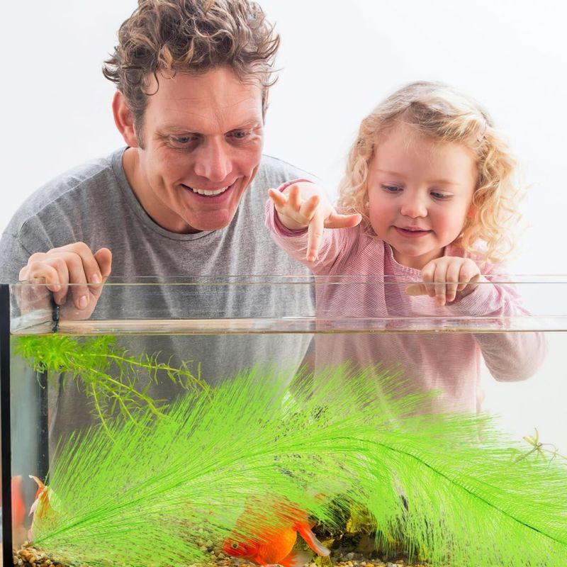 ZooVenture Herbes d'aquarium pour poissons