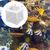 ZooVenture Boîtes d'incubateur en maille pour aquarium