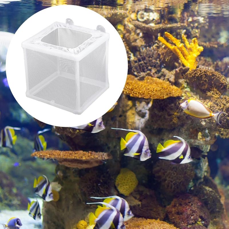 ZooVenture Boîtes d'incubateur en maille pour aquarium