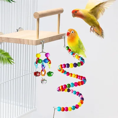 Rocky Ensemble de 7 jouets pour perroquet