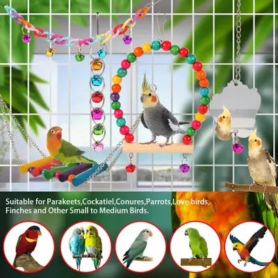 Rocky Ensemble de 9 jouets pour oiseaux
