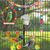 Rocky Ensemble de 9 jouets pour oiseaux