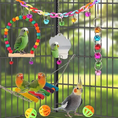 Rocky Ensemble de 9 jouets pour oiseaux