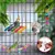 Rocky Ensemble de 9 jouets pour oiseaux