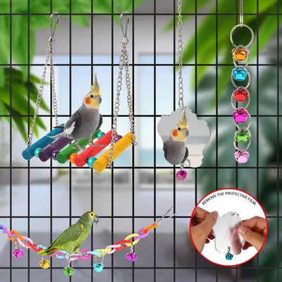Rocky Ensemble de 9 jouets pour oiseaux