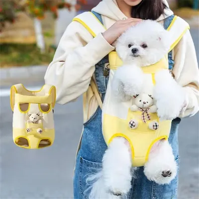 Rocky Sac à dos pour petits animaux de compagnie