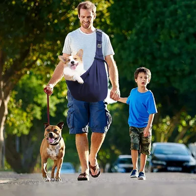 Rocky Sac à transporter animal de compagnie