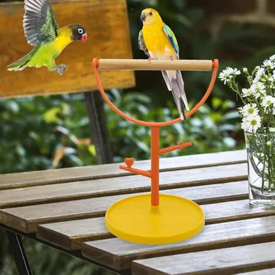 ZooVenture Perchoir à oiseaux sur pied pour oiseaux