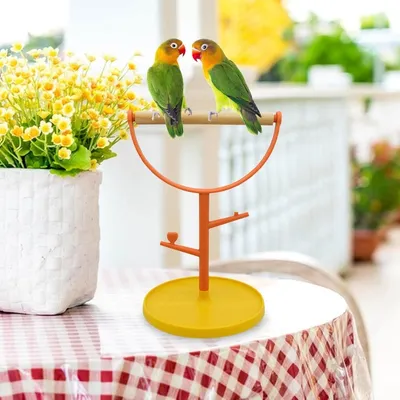 ZooVenture Perchoir à oiseaux sur pied pour oiseaux