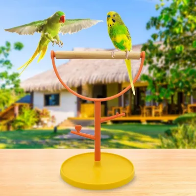 ZooVenture Perchoir à oiseaux sur pied pour oiseaux