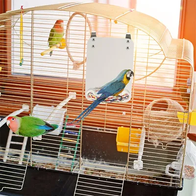 Rocky Jouet miroir pour oiseaux avec perchoir en corde