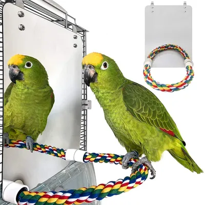 Rocky Jouet miroir pour oiseaux avec perchoir en corde