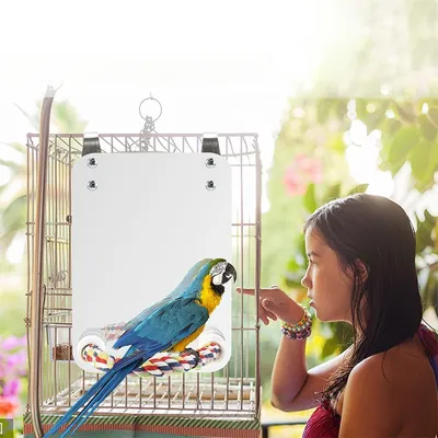 Rocky Jouet miroir pour oiseaux avec perchoir en corde