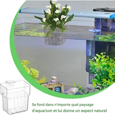 ZooVenture Supports à plantes acrylique pour aquarium