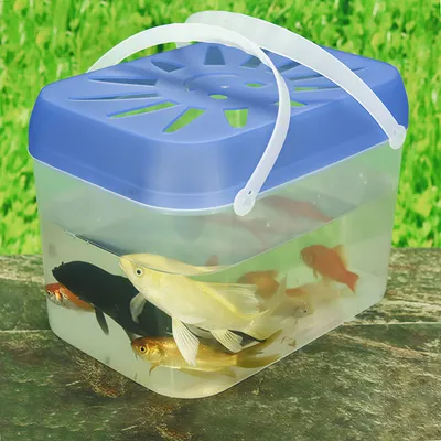 Rocky PawsBoîte d’élevage portable en plastique de haute qualité, version