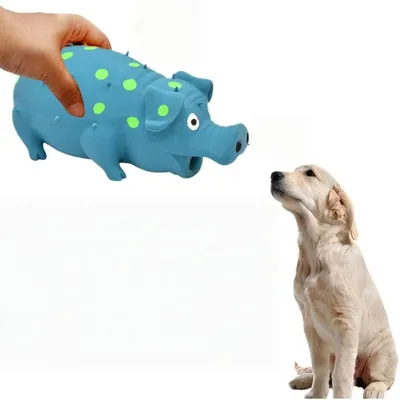 Zoomtopia Jouet interactif pour chien