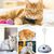 Pawzy Jouet rotatif pour chat