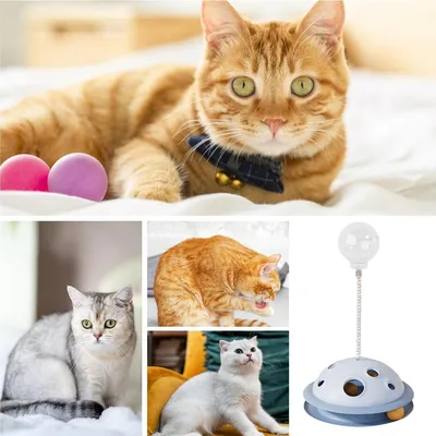 Pawzy Jouet rotatif pour chat