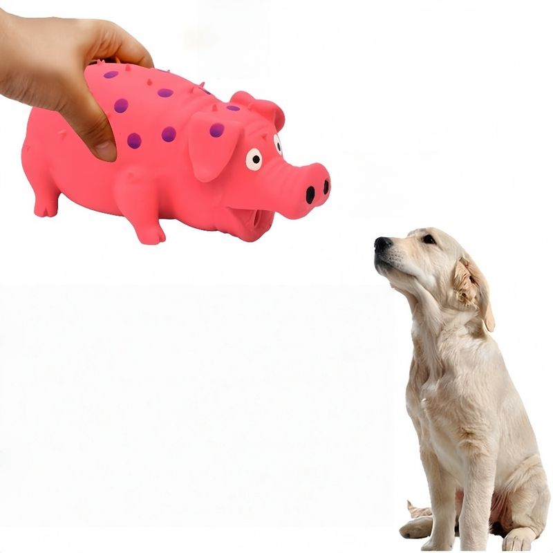 Zoomtopia Jouet interactif pour chien