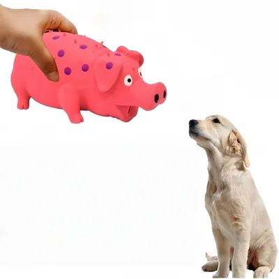Zoomtopia Jouet interactif pour chien