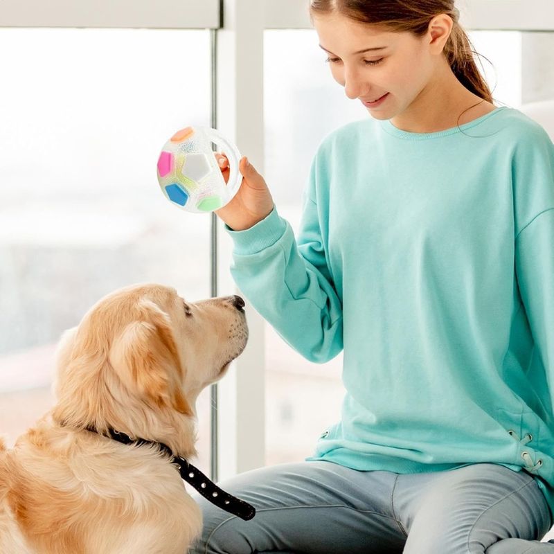 Zoomtopia Ballon à mâcher pour chien