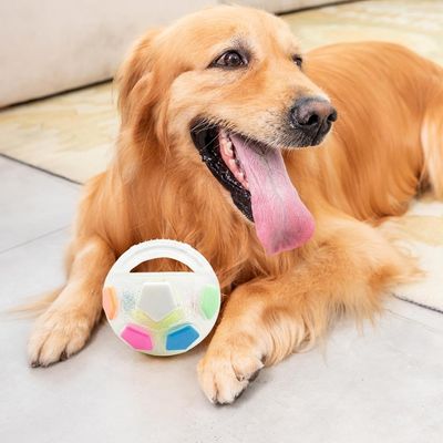 Zoomtopia Ballon à mâcher pour chien