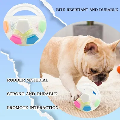 Zoomtopia Ballon à mâcher pour chien