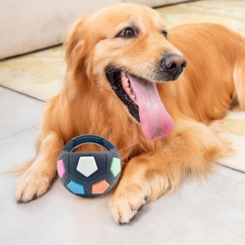 Zoomtopia Ballon à mâcher pour chien