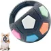 Zoomtopia Kauspielball für Hunde