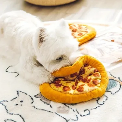 Zoomtopia Jouet pizza pour chien