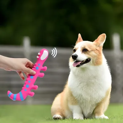 Zoomtopia Jouet pour chien