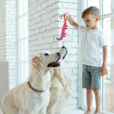 Zoomtopia Jouet pour chien