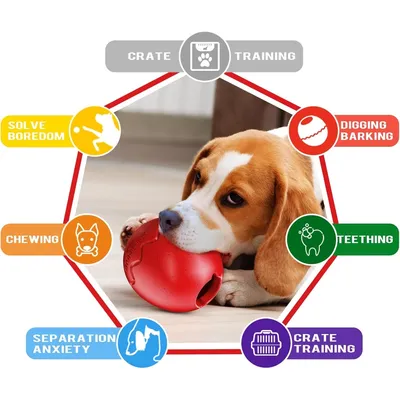 Zoomtopia Jouet d'alimentation lente pour chien