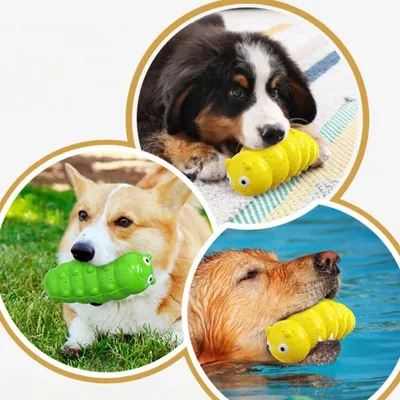 Zoomtopia Jouets à mâcher pour chiens