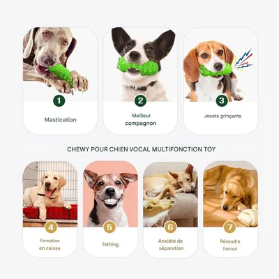 Zoomtopia Jouets à mâcher pour chiens