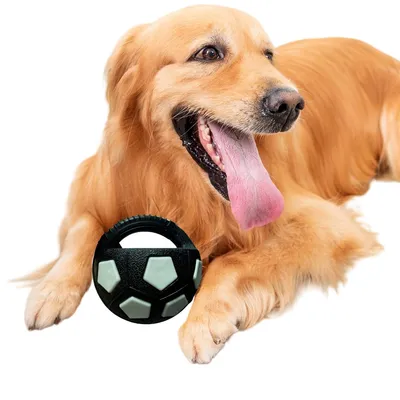 Zoomtopia Ballon à mâcher pour chien