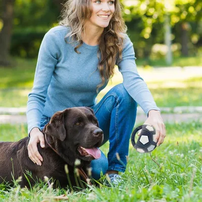 Zoomtopia Ballon à mâcher pour chien